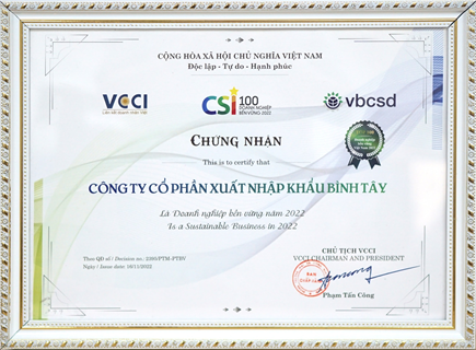 Chứng nhận Top 100 Doanh nghiệp Bền vững năm VCCI (2022)